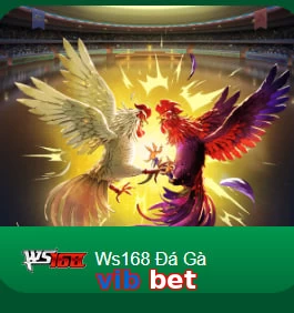 vib bet